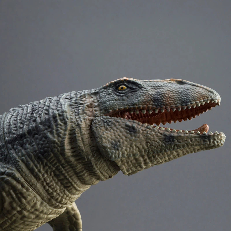 Science Toys - ของเล่นจำลองโปรนาโทดอน โมซาซอรัส ขนาดใหญ่ ของสะสมสัตว์ทะเลยุคจูราสสิก ของตกแต่งเพื่อการศึกษาทางวิทยาศาสตร์ ของขวัญ
