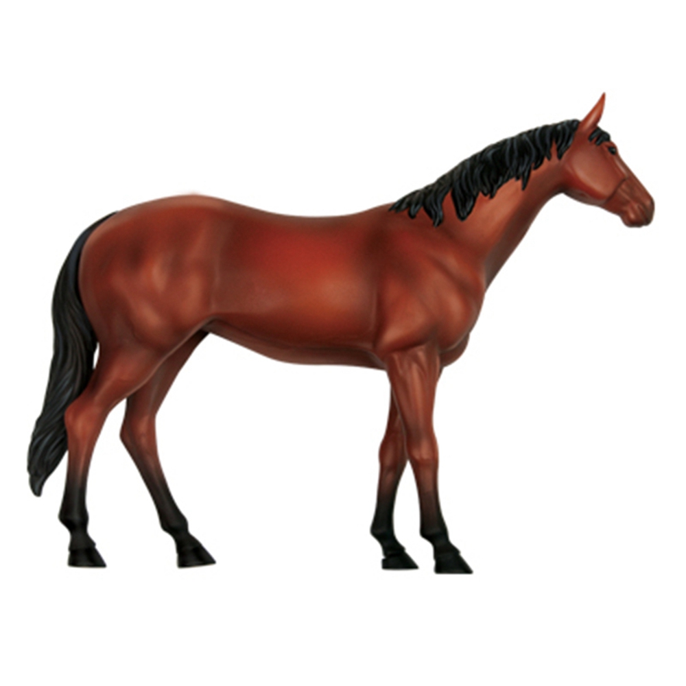 สัตว์ออร์แกน Anatomy 4D Horse  - Science Toys บทวิจารณ์และราคา