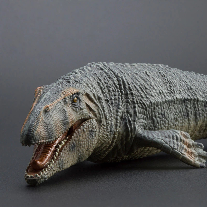 ของเล่นจำลองโปรนาโทดอน โมซาซอร - Science Toys บทวิจารณ์และราคา