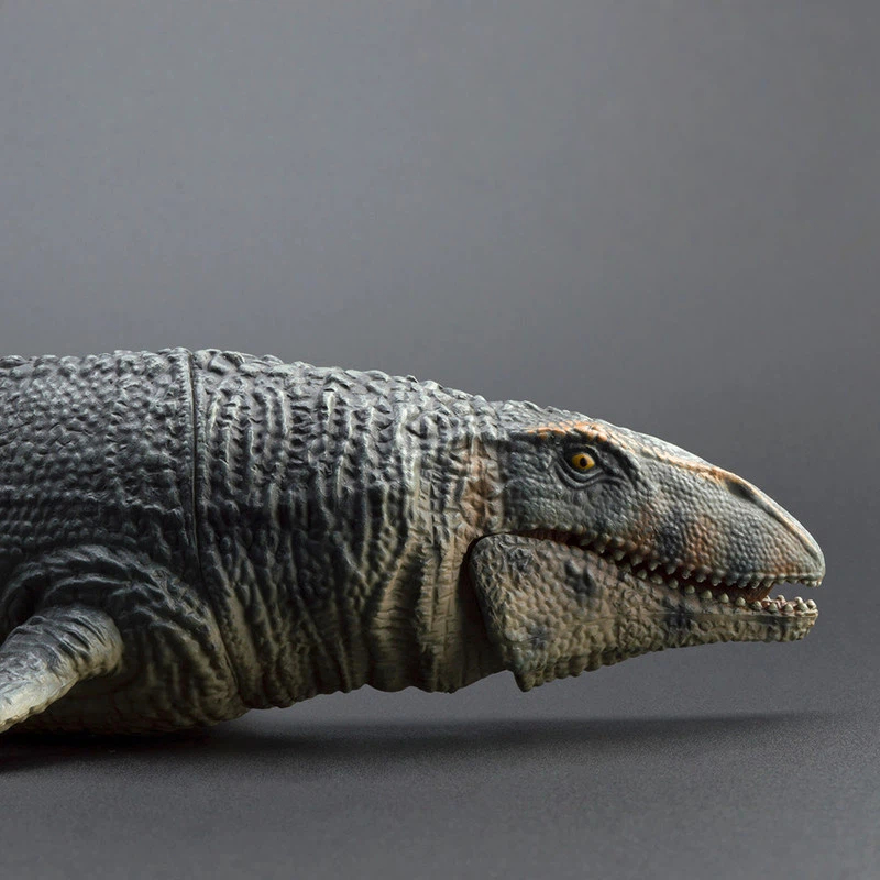 ของเล่นจำลองโปรนาโทดอน โมซาซอร - Science Toys บทวิจารณ์และราคา