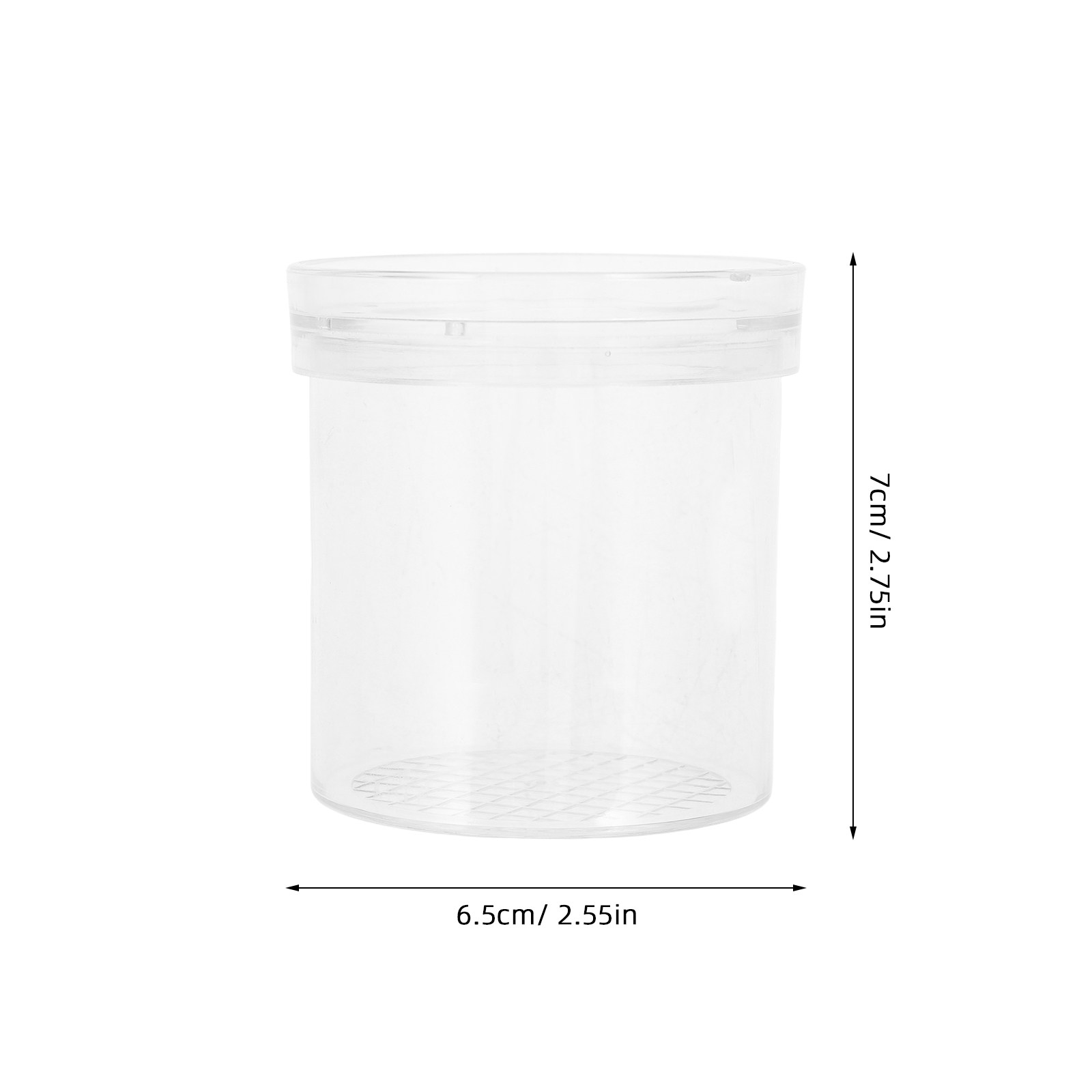 กล่องสังเกตแมลงขยาย 3 เท่า สำห - Science Toys บทวิจารณ์และราคา