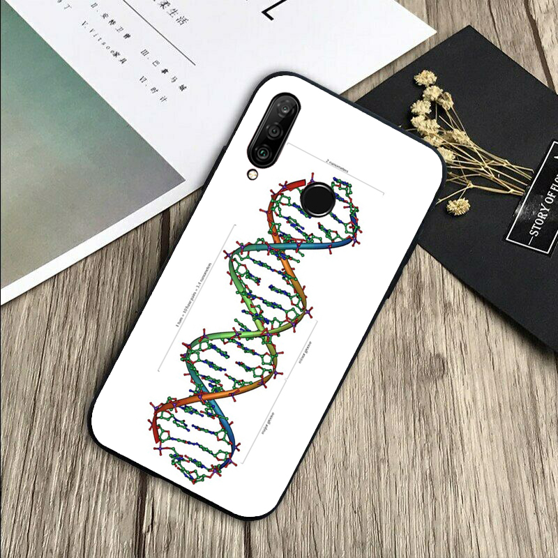 ภาพประกอบวิทยาศาสตร์ DNA สไตล์ - Science Nova บทวิจารณ์และราคา