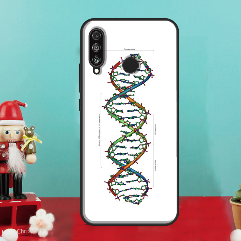 ภาพประกอบวิทยาศาสตร์ DNA สไตล์ - Science Nova บทวิจารณ์และราคา