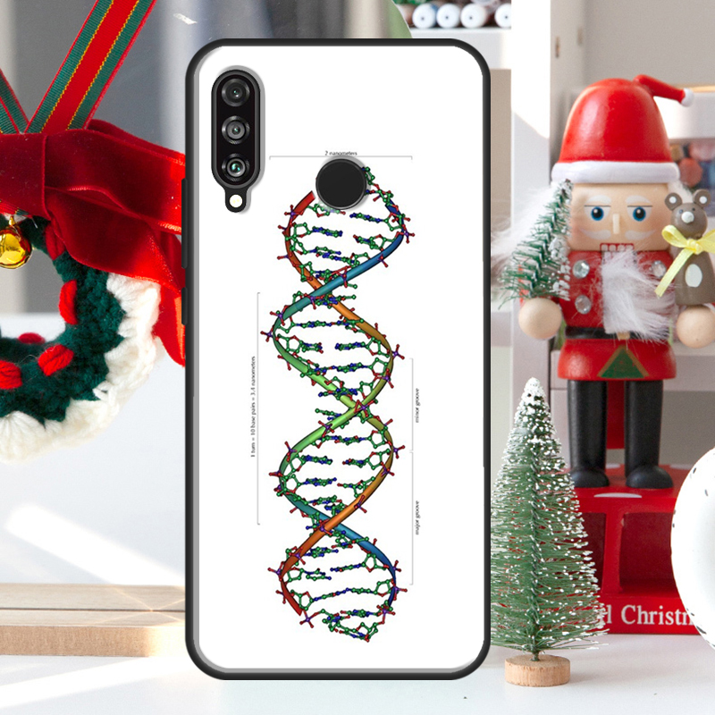 วิทยาศาสตร์ DNA ชีววิทยาสำหรับ - Science Nova บทวิจารณ์และราคา
