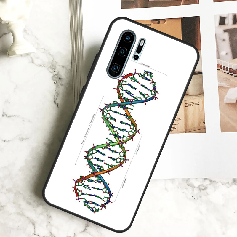 วิทยาศาสตร์ DNA ชีววิทยาสำหรับ - Science Nova บทวิจารณ์และราคา