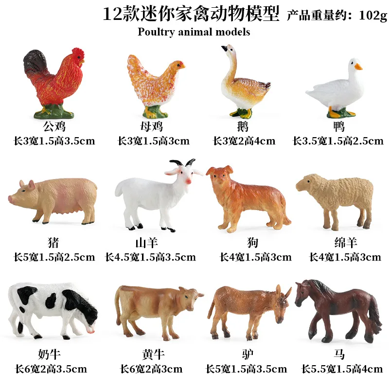 ของเล่นจำลองสัตว์ปีกและสัตว์เล - Science Toys บทวิจารณ์และราคา